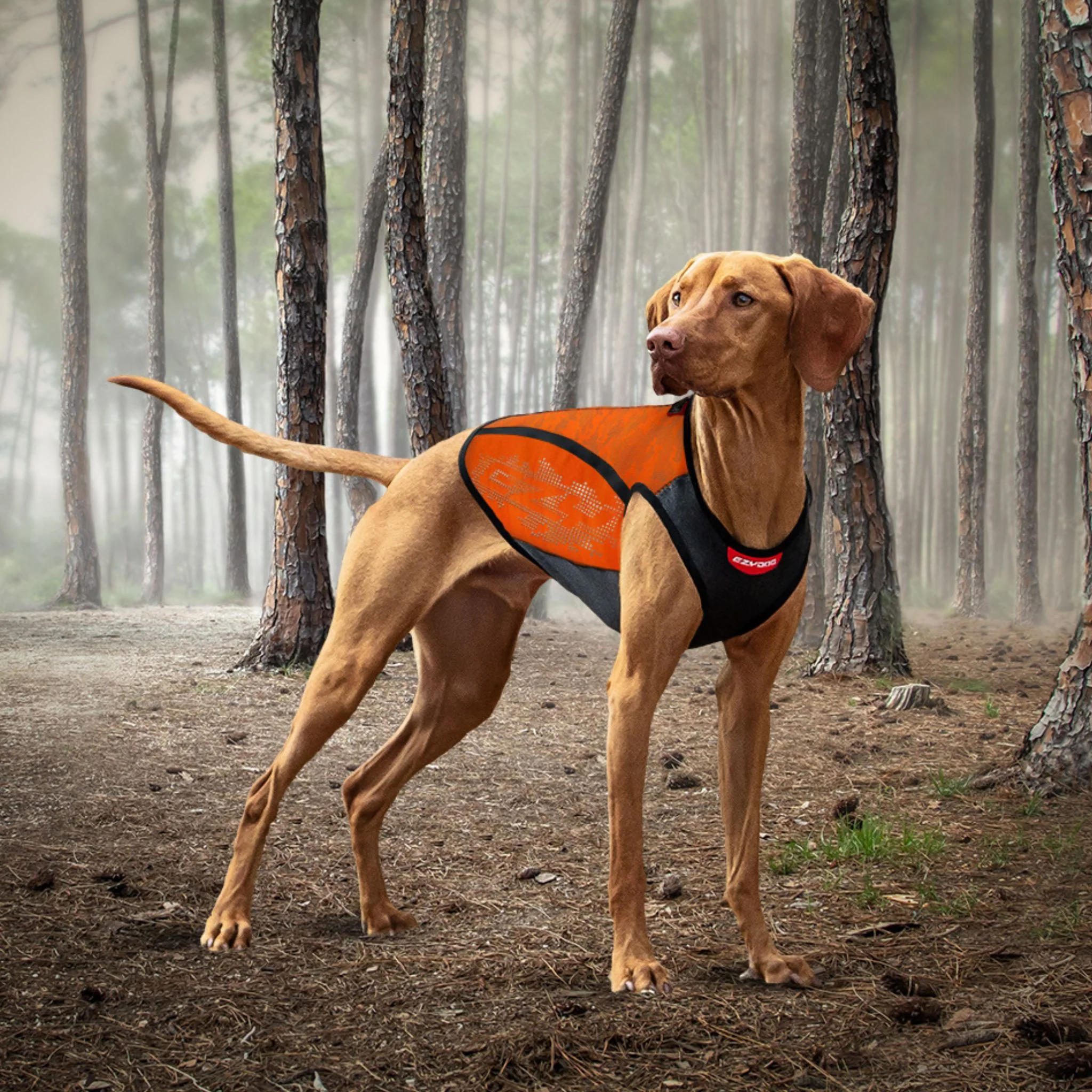 Thermax Vest - Image 12