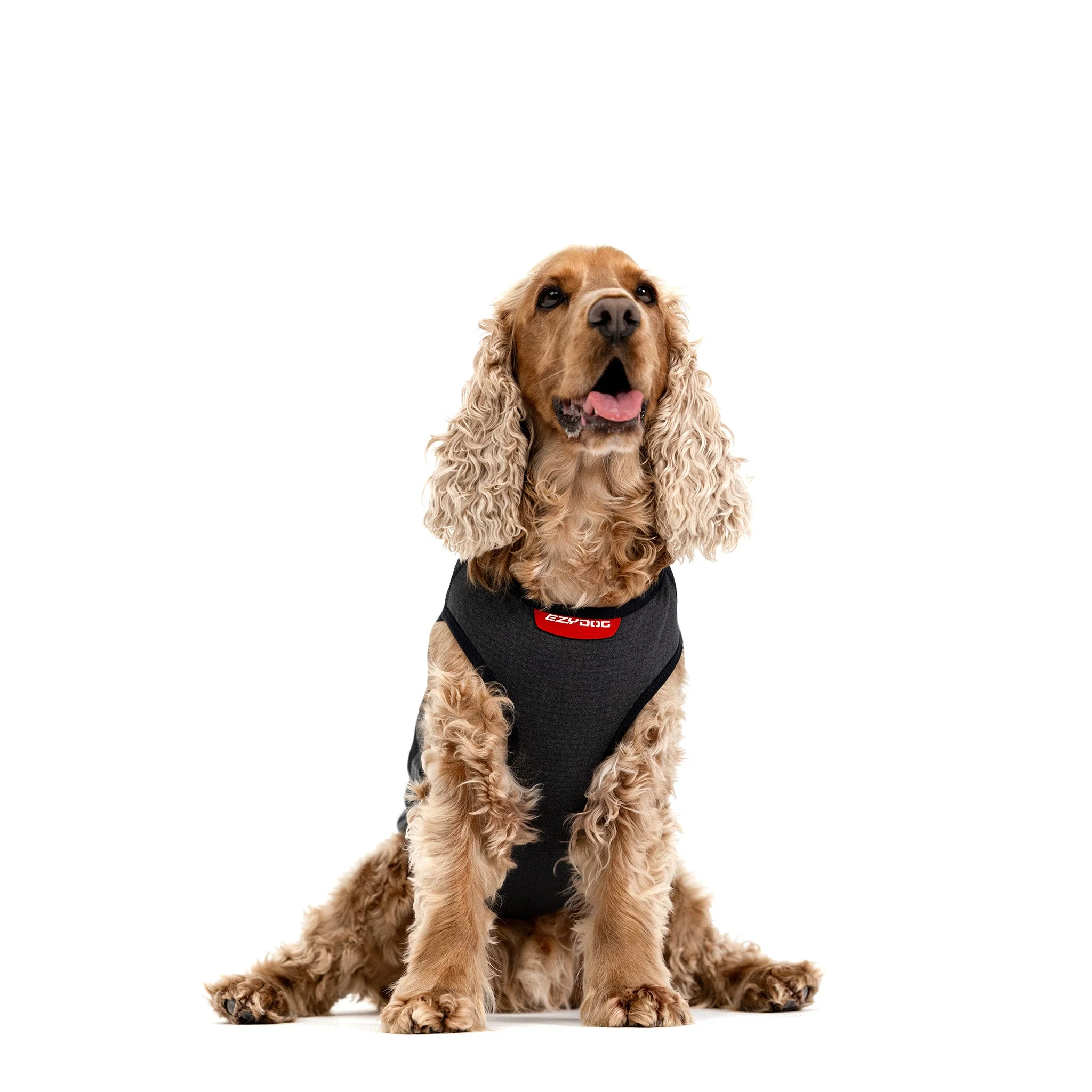 Thermax Vest - Image 4