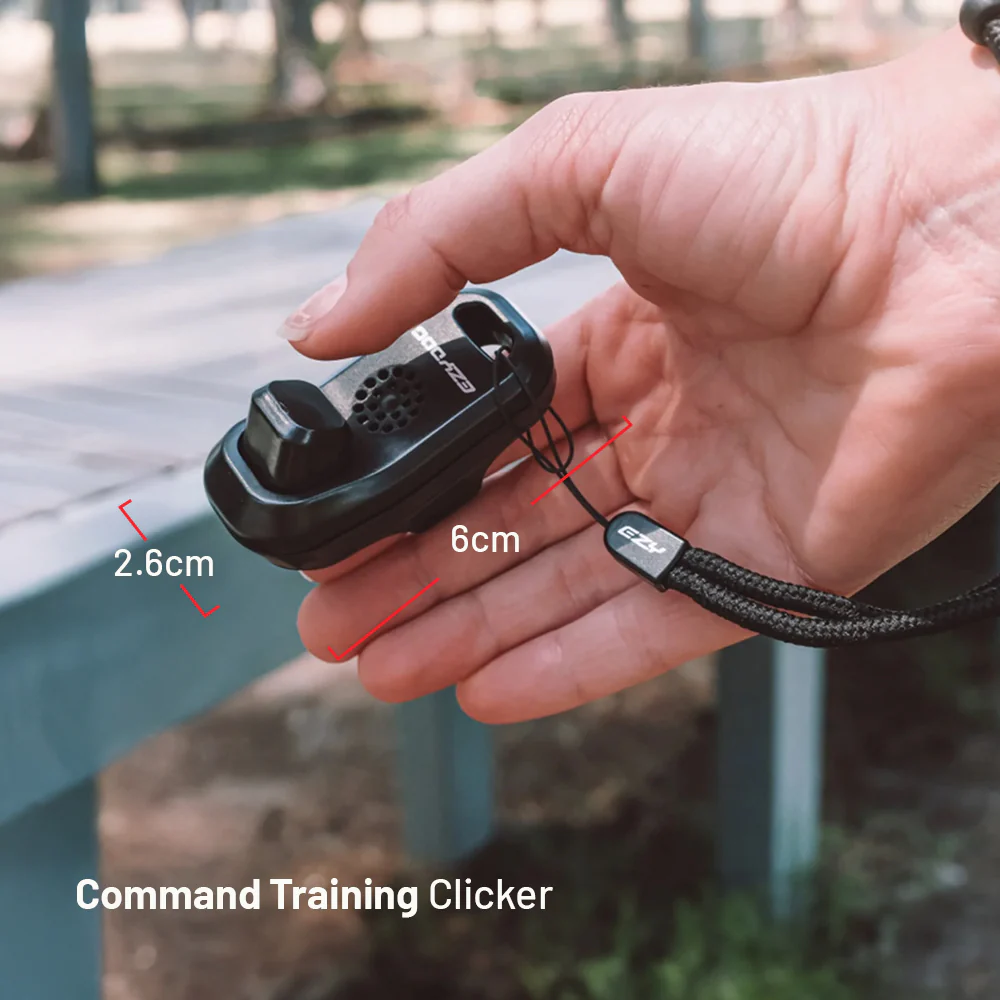 Training Essentials Bundle - Image 10
