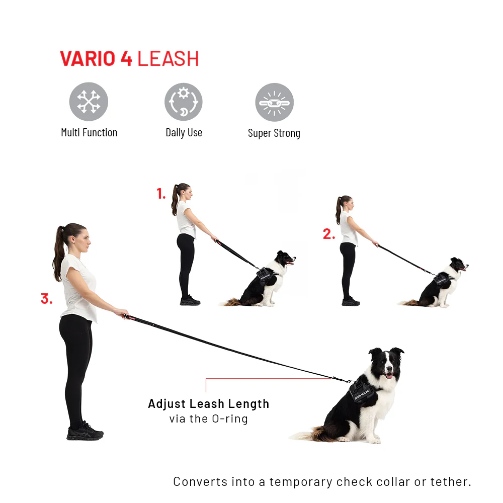 Training Essentials Bundle - Image 6