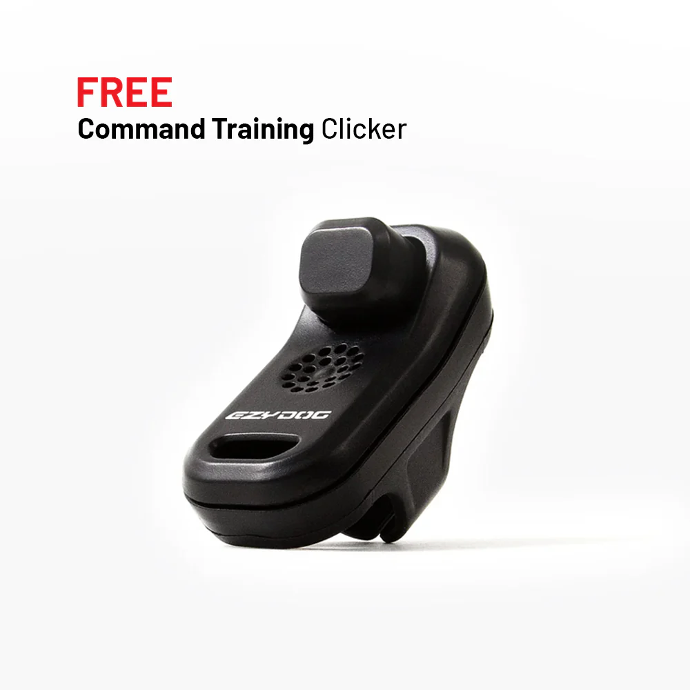 Training Essentials Bundle - Image 8