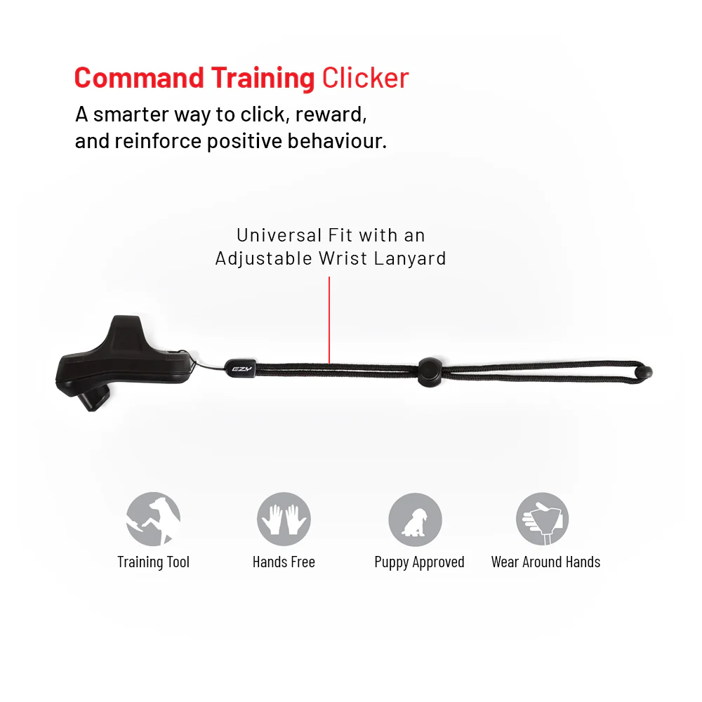 Training Essentials Bundle - Image 9