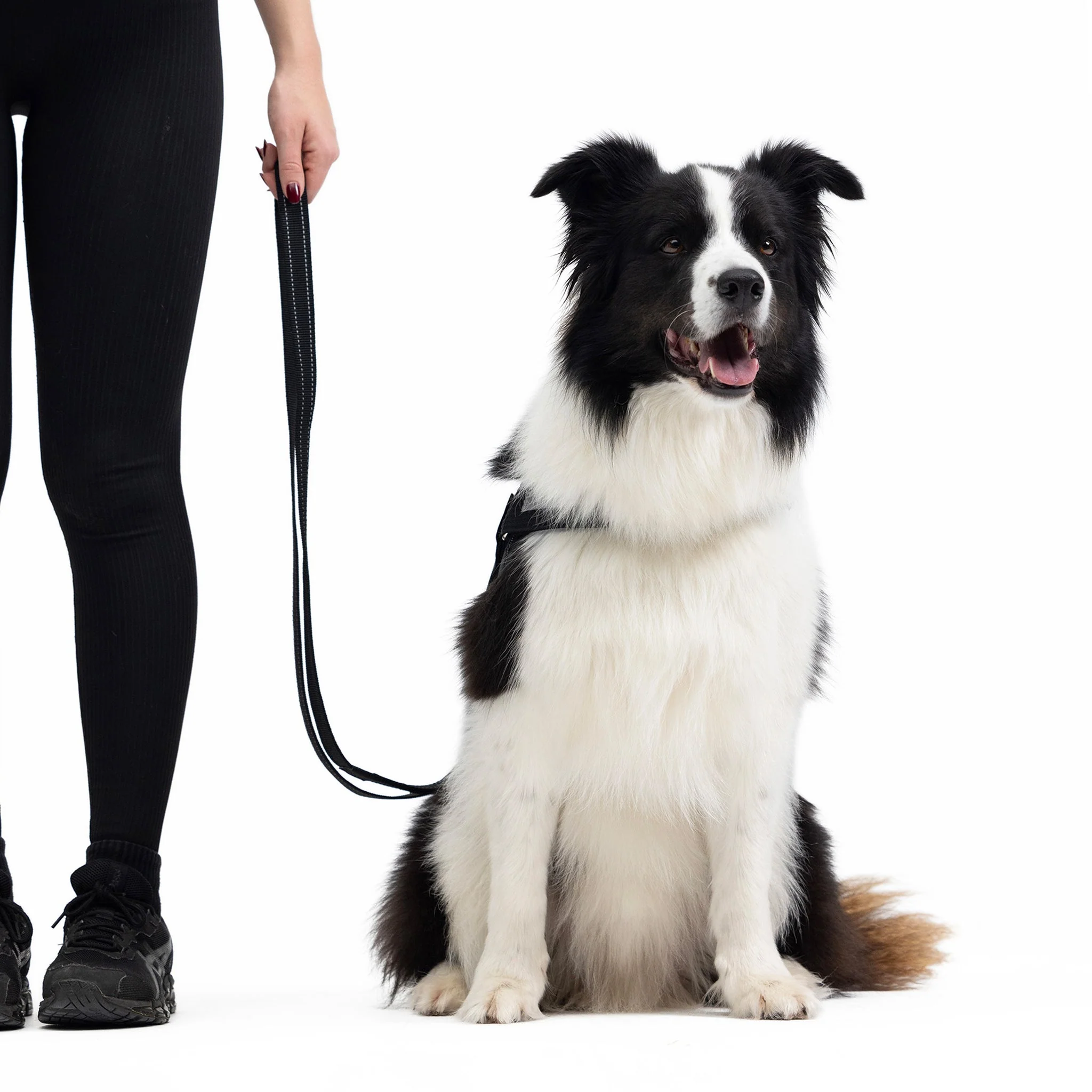Vario 4 Multi-Function Leash - Image 2