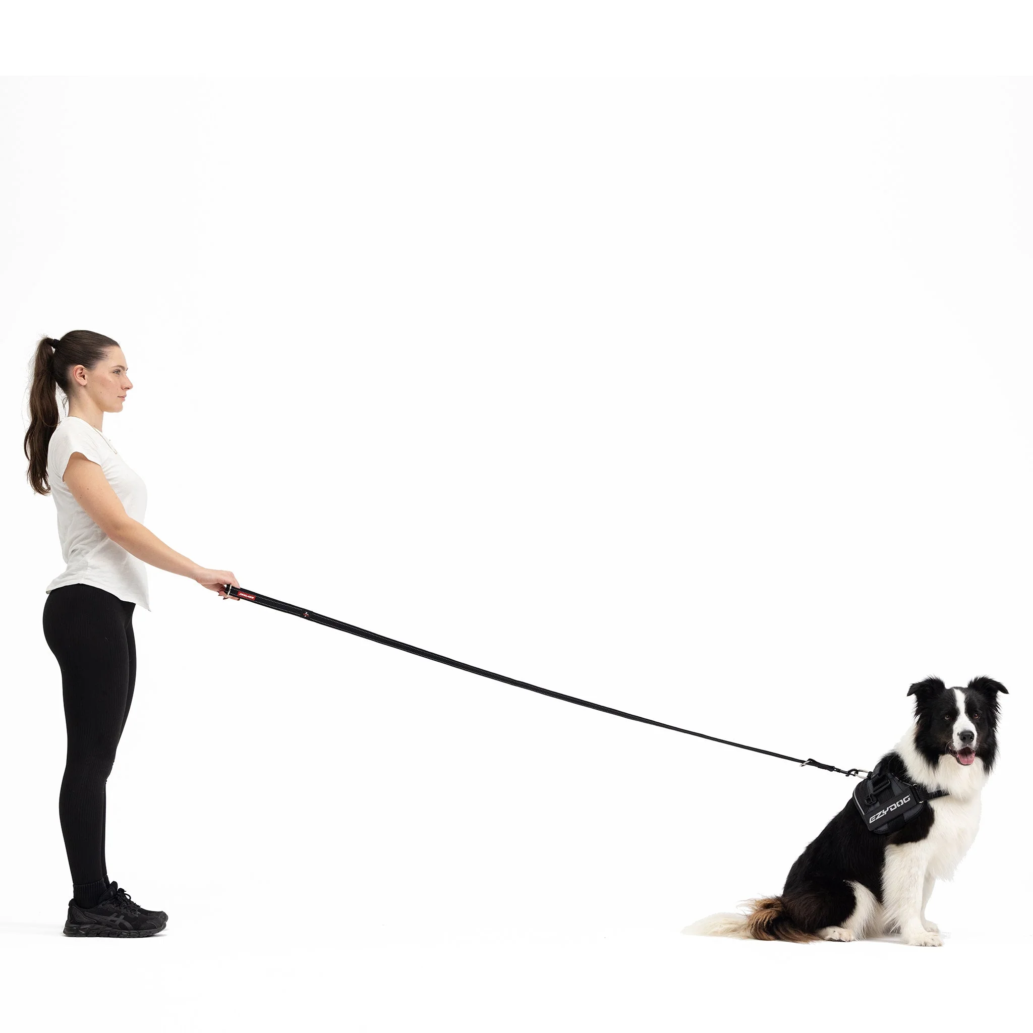 Vario 4 Multi-Function Leash - Image 4