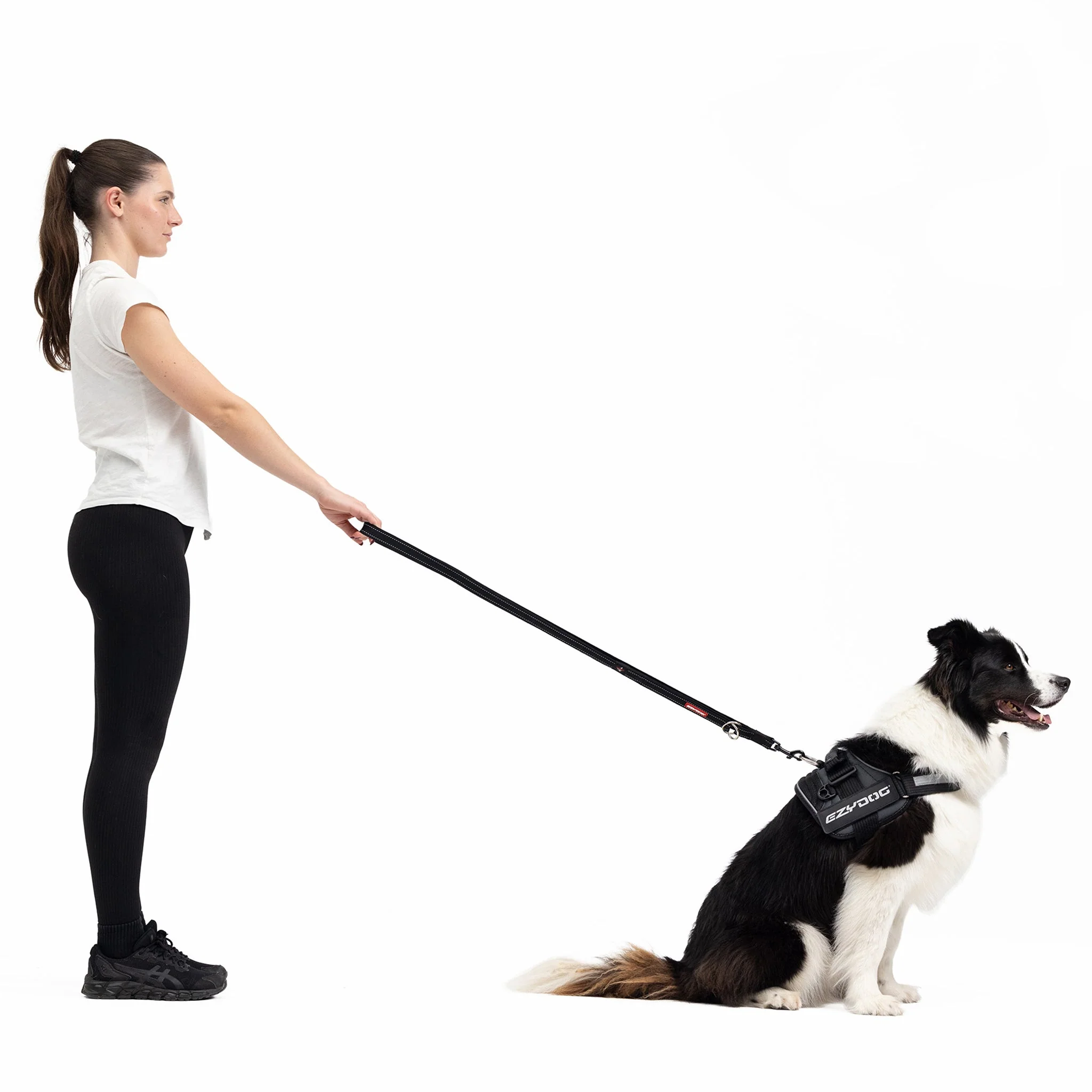 Vario 4 Multi-Function Leash - Image 5