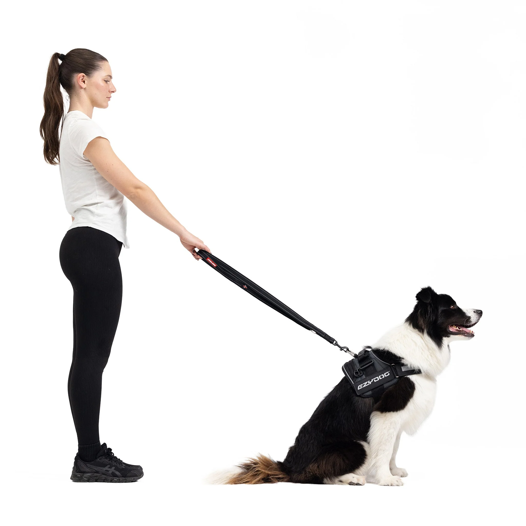 Vario 4 Multi-Function Leash - Image 6