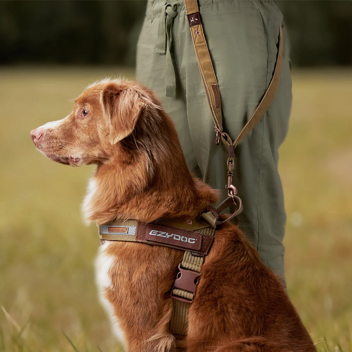 Vario 4 Multi-Function Leash - Image 7