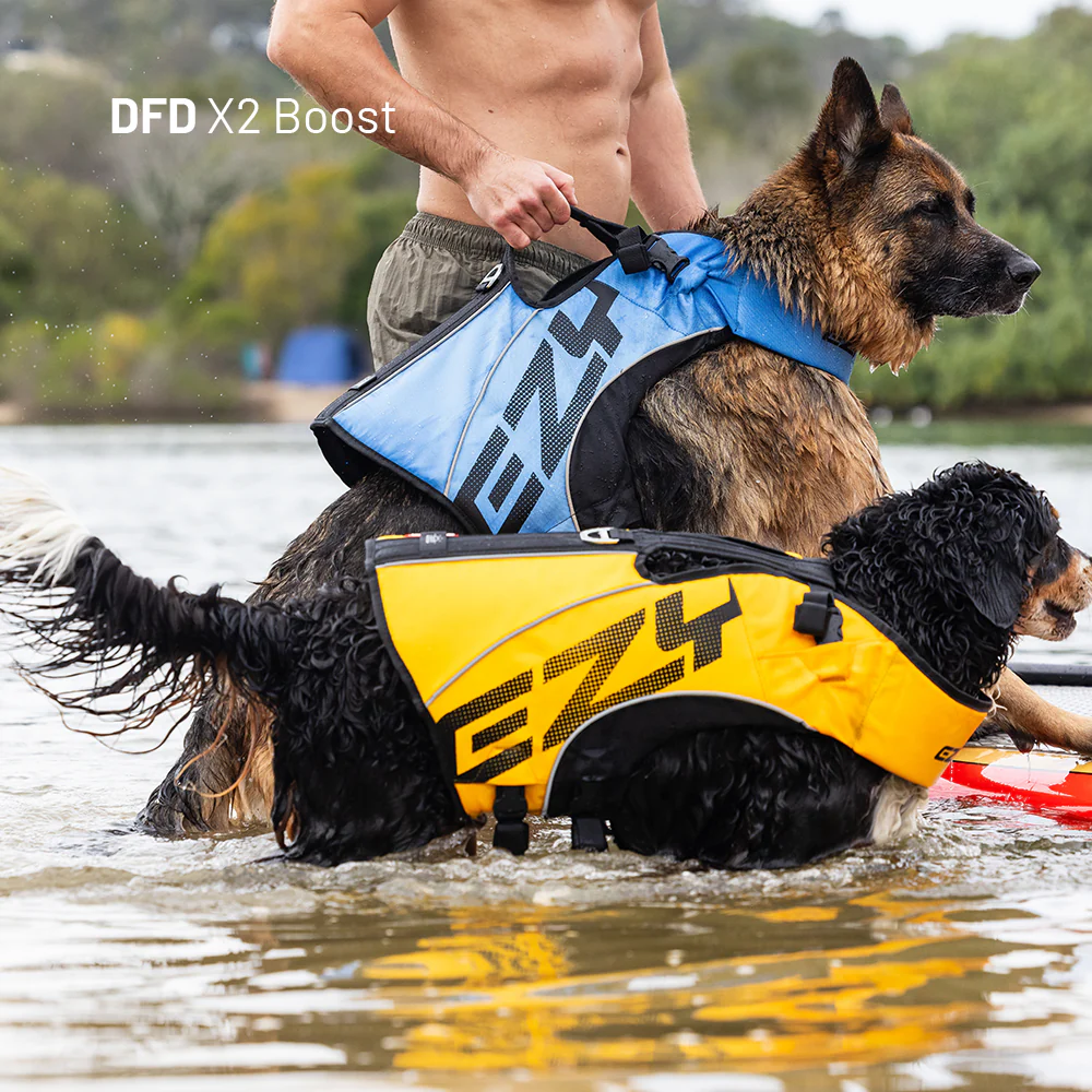 Water Explorer Bundle - Image 7
