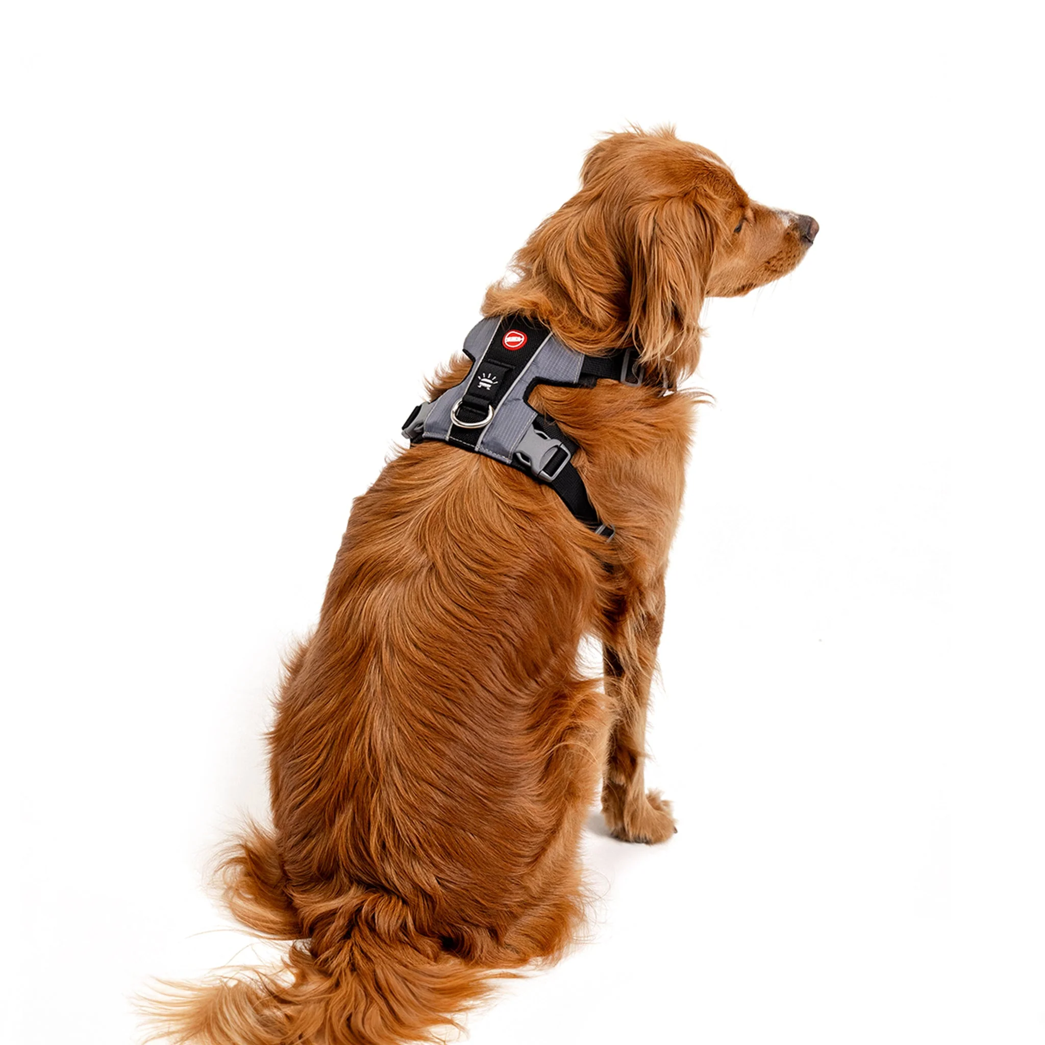 X-Link Harness - Image 32