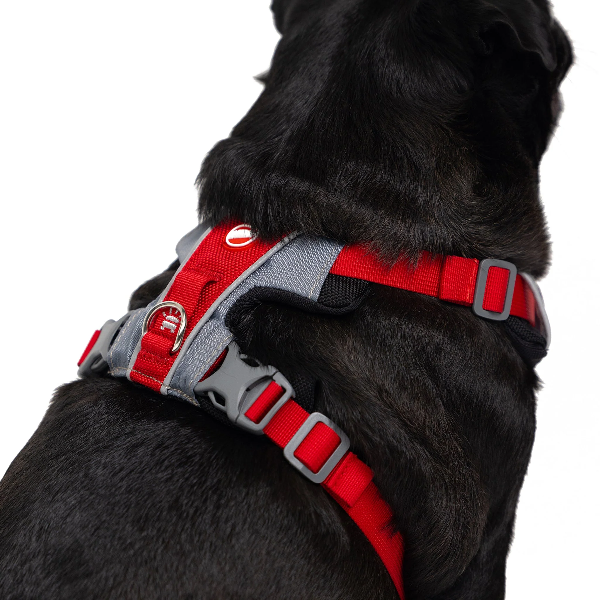 X-Link Harness - Image 34