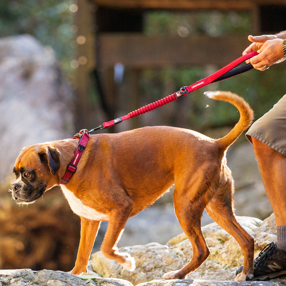 Zero Shock Leash - Image 15