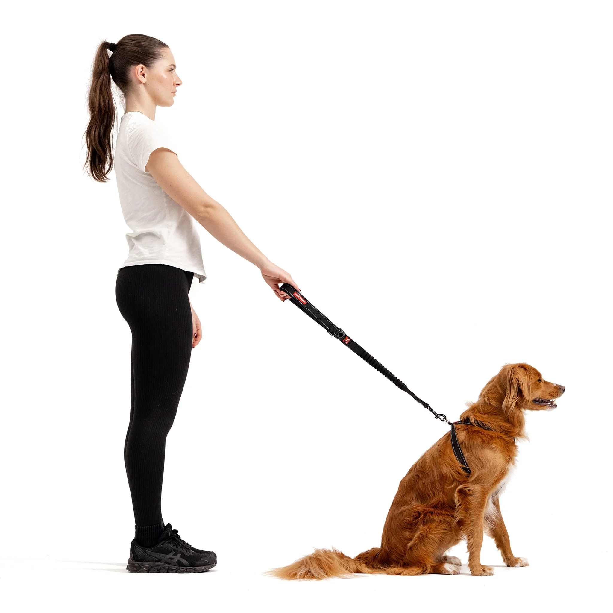 Zero Shock Leash - Image 7