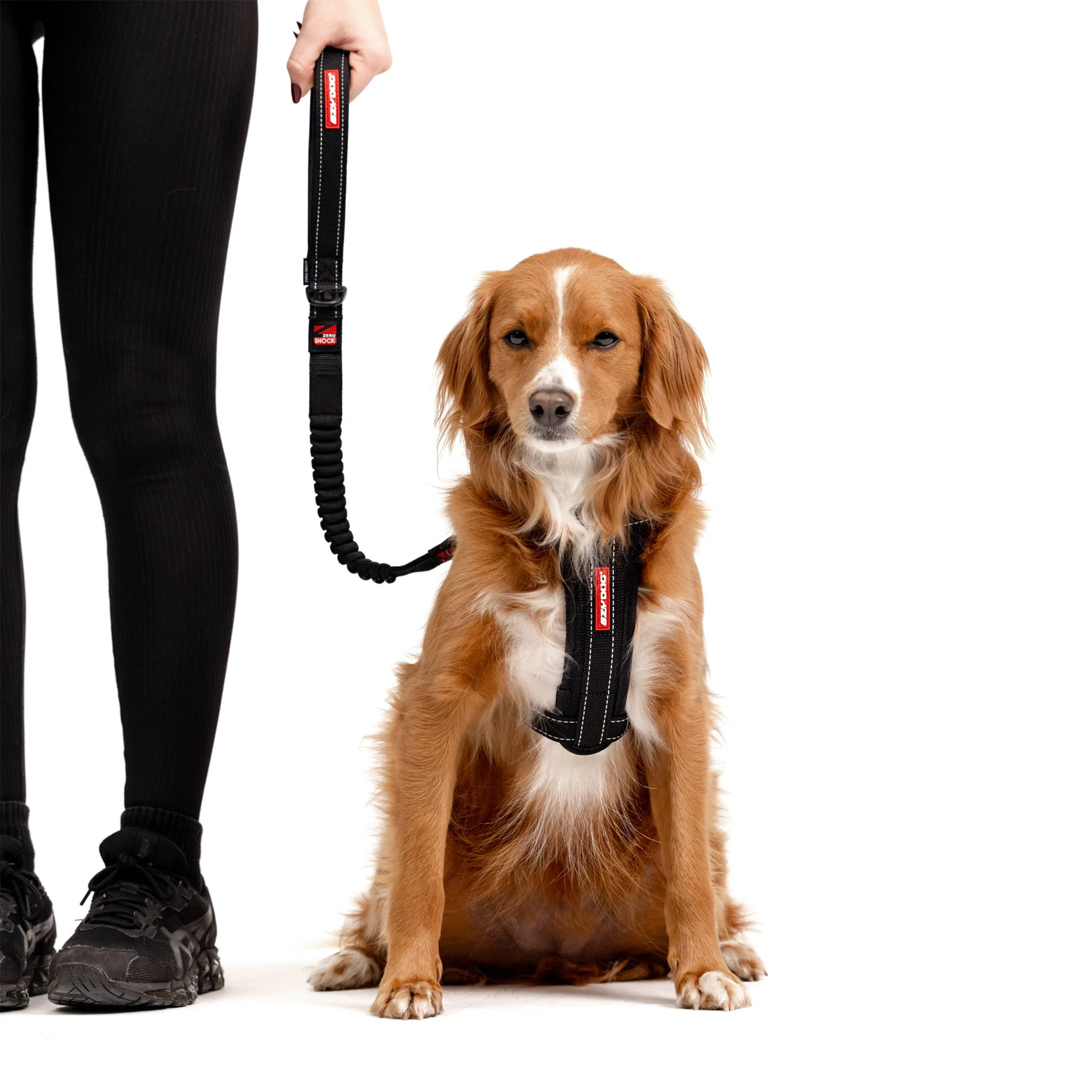Zero Shock Leash - Image 8